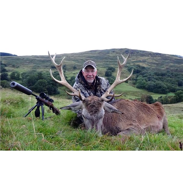 Scotland Red Stag Hunt