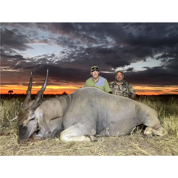 Namibian Eland and Plains Game Hunt