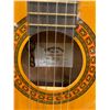 Image 2 : Guitar and case