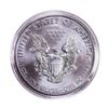 Image 2 : 2013-W $1 Burnished American Silver Eagle Coin
