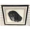 Image 1 : Framed limited edition Catherine White print "Animal Instincts" #308/750 signed by artist July 1987