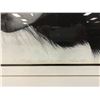 Image 3 : Framed limited edition Catherine White print "Animal Instincts" #308/750 signed by artist July 1987