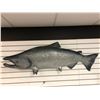 Image 1 : 47in fibreglass composite "Chinook Salmon" wall mount hanging