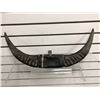 Image 1 : Wall mount oxen horns from movie set