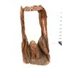 Image 1 : Carved wooden bear display - 28in tall x 15in wide x 11in deep