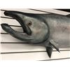 Image 2 : Chinook salmon fiberglass composite wall mount hanging - approx. 47in