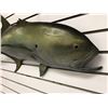 Image 2 : Tuna fiberglass composite wall mount hanging - approx. 38in