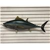 Image 1 : Tuna fiberglass composite wall mount hanging - approx. 38in