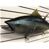 Image 2 : Tuna fiberglass composite wall mount hanging - approx. 38in