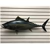 Image 1 : Tuna fiberglass composite wall mount hanging - approx. 38in