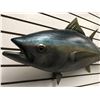 Image 2 : Tuna fiberglass composite wall mount hanging - approx. 38in