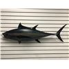 Image 1 : Tuna fiberglass composite wall mount hanging - approx. 47in