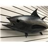 Image 2 : Tuna fiberglass composite wall mount hanging - approx. 47in