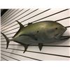 Image 2 : Tuna fiberglass composite wall mount hanging - approx. 39in
