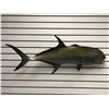 Image 1 : Tuna fiberglass composite wall mount hanging - approx. 39in