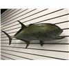 Image 2 : Tuna fiberglass composite wall mount hanging - approx. 39in