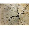 Image 2 : West Coast First Nations 20in diameter animal skin drum