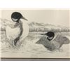 Image 2 : Framed limited edition print "Startled" Common Loon #409/750 signed by artist Lee Parks - approx. 25
