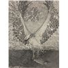 Image 2 : Framed limited edition print "The Strike" Osprey #409/750 signed by artist Lee Parks - approx. 21 3/
