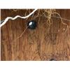Image 3 : 12in West Coast First Nations carved cedar face mask w/ cedar strand hair signed by J Y 1992
