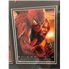 Image 3 : Framed "Spider-Man in Film" collectible display piece - 36in x 27in