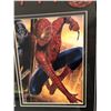 Image 4 : Framed "Spider-Man in Film" collectible display piece - 36in x 27in