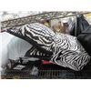 Image 2 : Zebra Bin/Pillows, Comforter