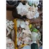 Image 2 : Seashells & Large Conchs, Coral