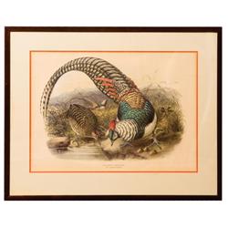 Lot of 3 Antique Pheasant Prints