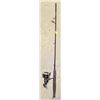 Image 1 : BERKLEY "LIGHTNING ROD" IM 6 SERIES -