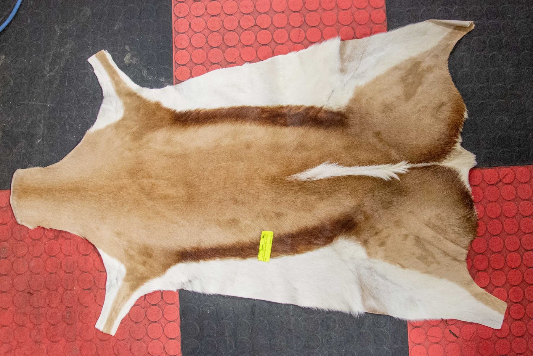 Fawn Hide Rug FAWN COLOURED HIDE RUG APPROX. 3 FT