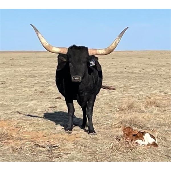 HUBBELLS CATCHA ROSA