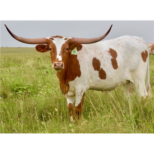 GLR TEXANA RIO TUFF GAL