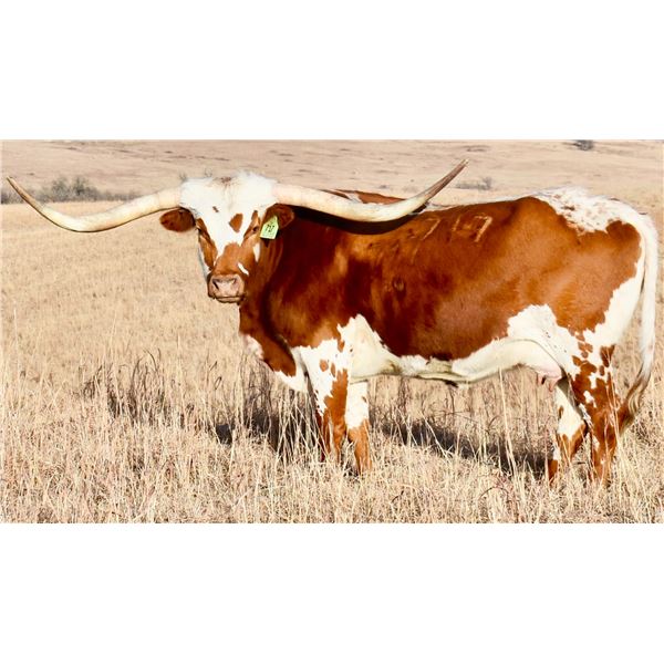 GLR TSUNAMI'S MARYJAM