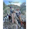 Image 5 : Mountain Lion Hunt in Arizona with Diamond Outfitters - 5 Days / 1 Hunter
