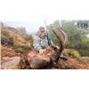 Image 2 : Southeastern Ibex Hunt in Spain with IBERHUNTING - 1 Hunter