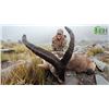 Image 3 : Southeastern Ibex Hunt in Spain with IBERHUNTING - 1 Hunter