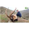 Image 4 : Southeastern Ibex Hunt in Spain with IBERHUNTING - 1 Hunter