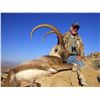 Image 6 : Sindh Ibex Hunt In Pakistan with Caprinae Safaris - 3 Days / 1 Hunter
