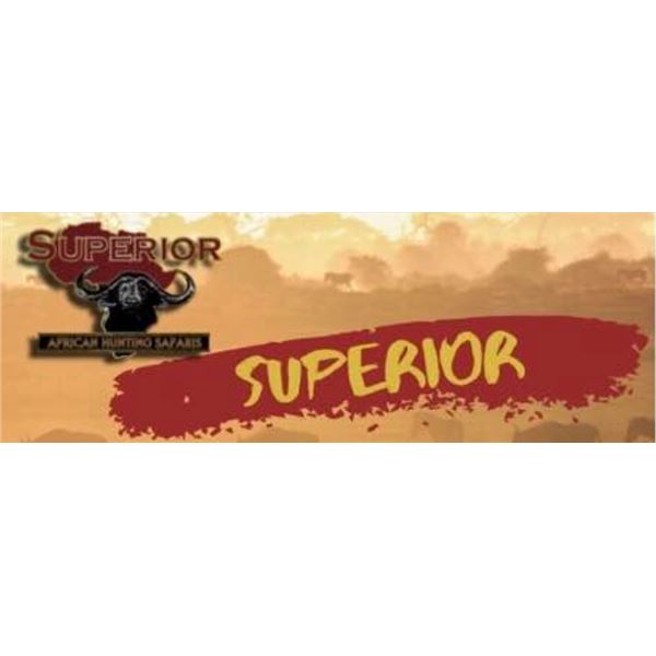 Wildebeest and Impala Hunt in Africa with Superior Safaris - 5 Days / 2 Hunters