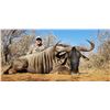 Image 2 : Wildebeest and Impala Hunt in Africa with Superior Safaris - 5 Days / 2 Hunters
