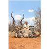 Image 8 : Wildebeest and Impala Hunt in Africa with Superior Safaris - 5 Days / 2 Hunters