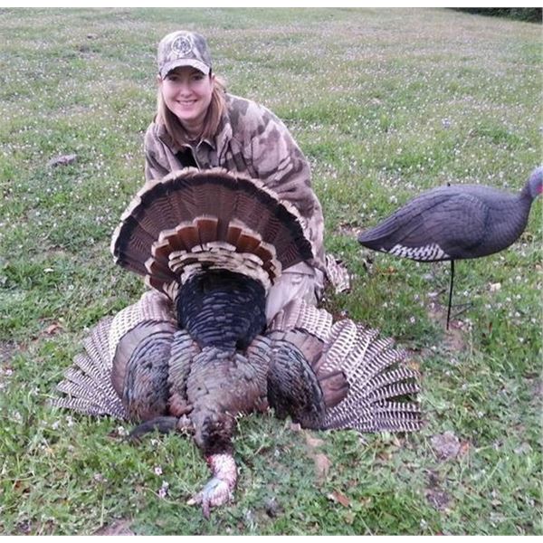 Turkey Hunt in CA with Don Martin on Bardin Ranch - 2 Days / 1 Youth / Female / First Time Hunter