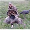 Image 1 : Turkey Hunt in CA with Don Martin on Bardin Ranch - 2 Days / 1 Youth / Female / First Time Hunter