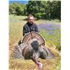Image 5 : Turkey Hunt in CA with Don Martin on Bardin Ranch - 2 Days / 1 Youth / Female / First Time Hunter