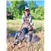 Image 6 : Turkey Hunt in CA with Don Martin on Bardin Ranch - 2 Days / 1 Youth / Female / First Time Hunter