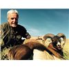 Image 10 : Mouflon and Patagonian Dall Hunt in Argentina with Algar Safaris - 5 Days / 1 Hunter