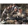 Image 2 : Coues Deer Hunt in Arizona with Diamond Outfitters - 5 Days / 2 Hunters