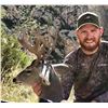Image 3 : Coues Deer Hunt in Arizona with Diamond Outfitters - 5 Days / 2 Hunters