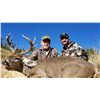 Image 6 : Coues Deer Hunt in Arizona with Diamond Outfitters - 5 Days / 2 Hunters